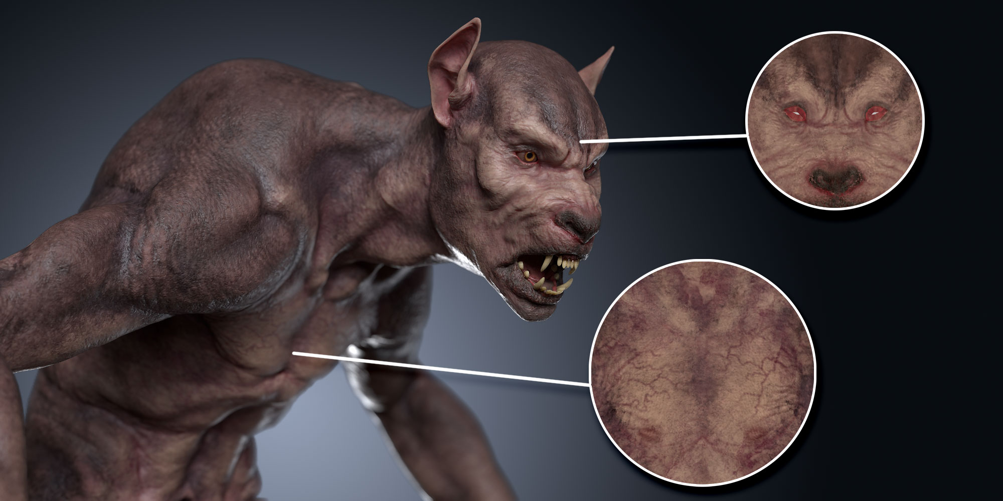 3D Werewolf Model Textures