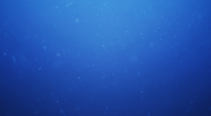 Underwater Particulate HD VFX Set