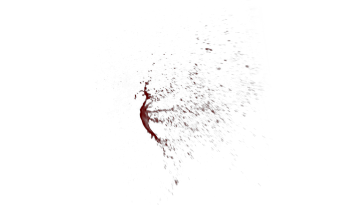 HD VFX of Blood Squib Side