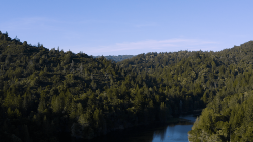(4K) Aerial Forest Lakes 3 Matte Effect