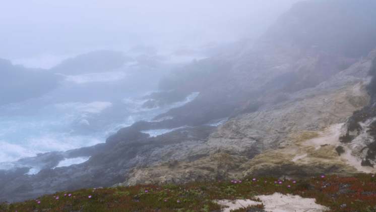 HD VFX of  Aerial Misty Shore 