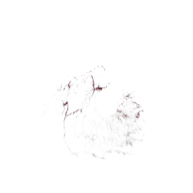 (4K) Blood Thick Slice Head 5 Effect