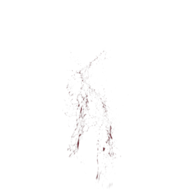 (4K) Blood Thick Slice Head 8 Effect