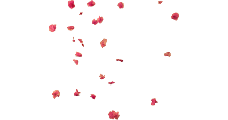 HD VFX of  Falling Flower Petals 