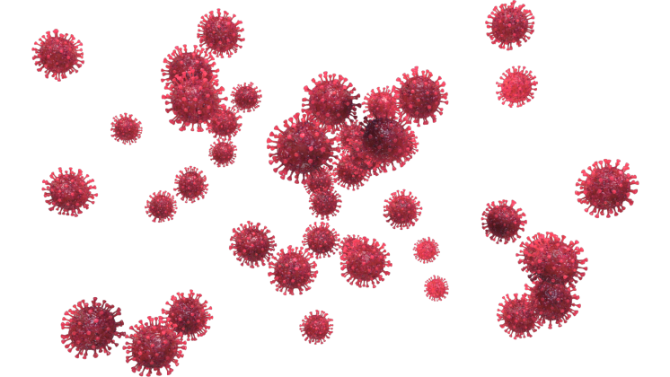 HD VFX of  Looping Floating Coronavirus  Red