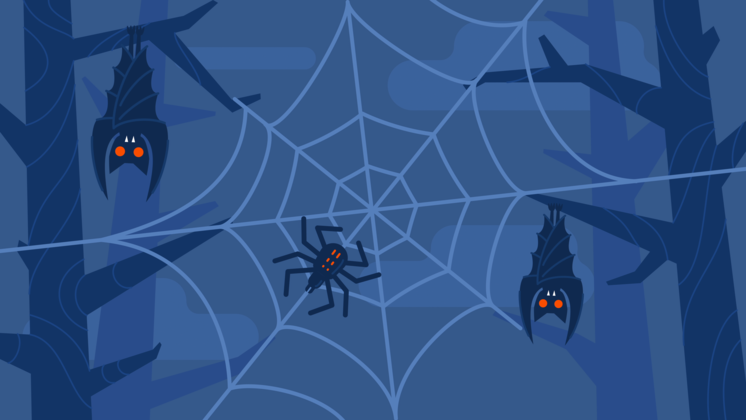 HD VFX of  Halloween Spiderweb Background Mov
