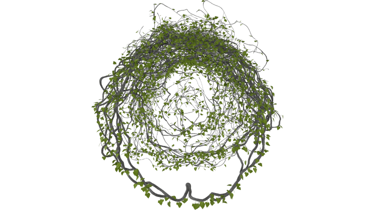 (4K) Leafy Vines Growing In Circle 2 Effect