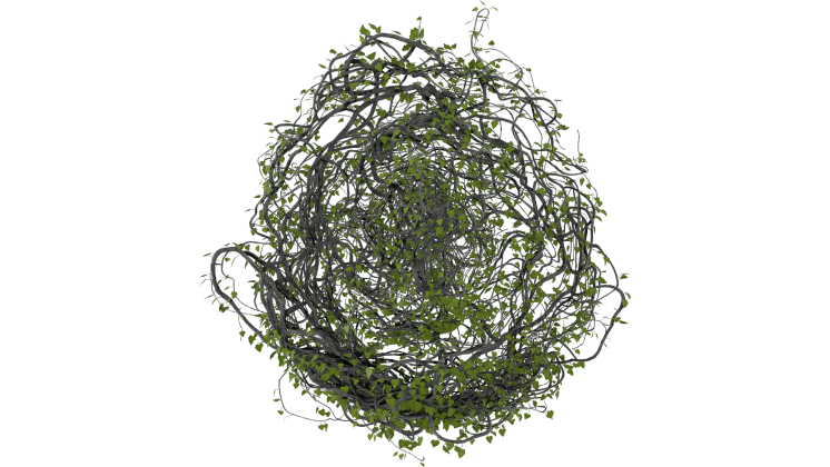 HD VFX of  Leafy Vines Growing  Circle 