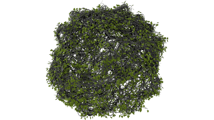 HD VFX of  Leafy Vines Growing  Circle 