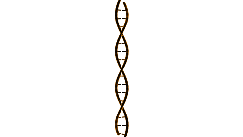 (4K) Looping DNA Molecule 3 Effect