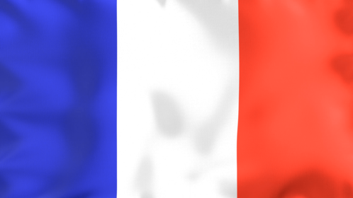 4K Looping Flag France Effect
