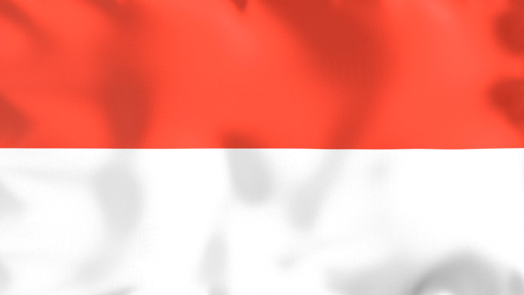 HD VFX of  Looping Flag Indonesia