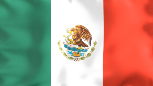 4K Looping Flag Mexico Effect