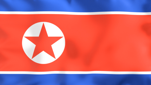 4K Looping Flag North Korea Effect