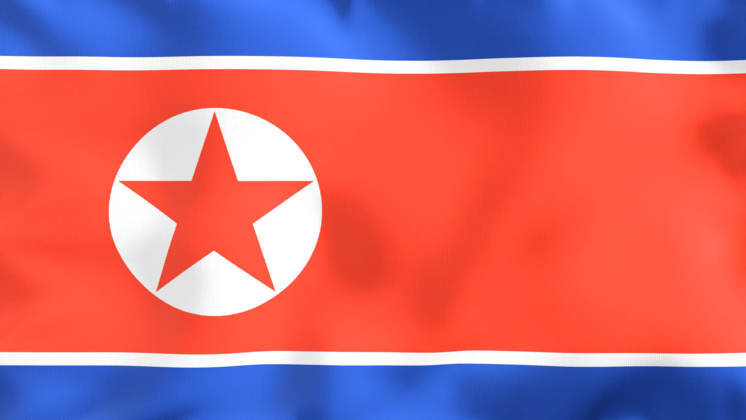 HD VFX of  Looping Flag North Korea