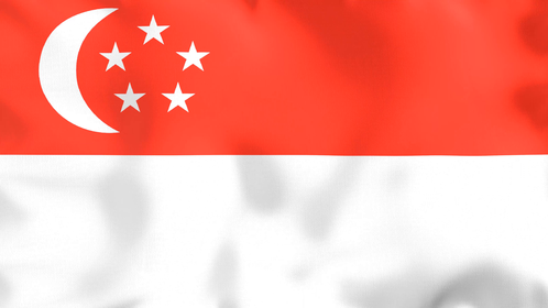 4K Looping Flag Singapore Effect