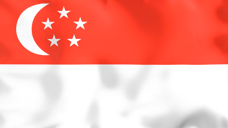 HD VFX of  Looping Flag Singapore