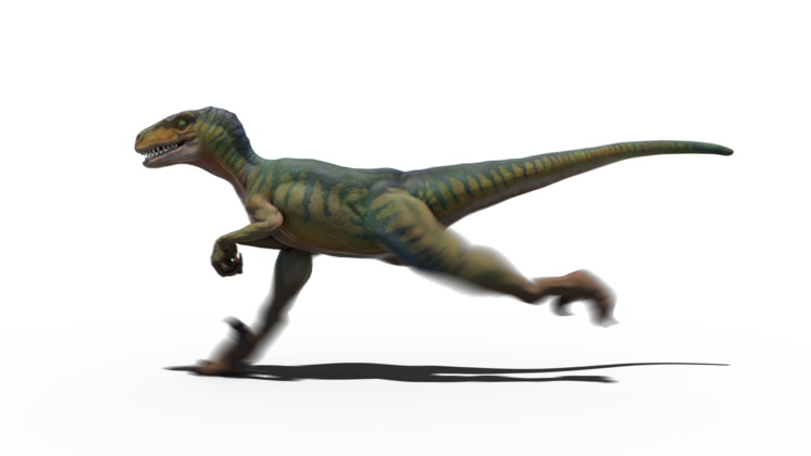 HD VFX of  Looping Velociraptor Running 