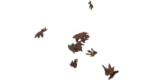 (4K) Slomo Leaves Falling 18 Effect