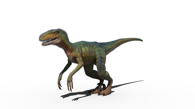 HD VFX of  Velociraptor Scared Side 
