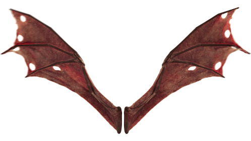 (4K) Demon Wings Red Front Flapping Effect