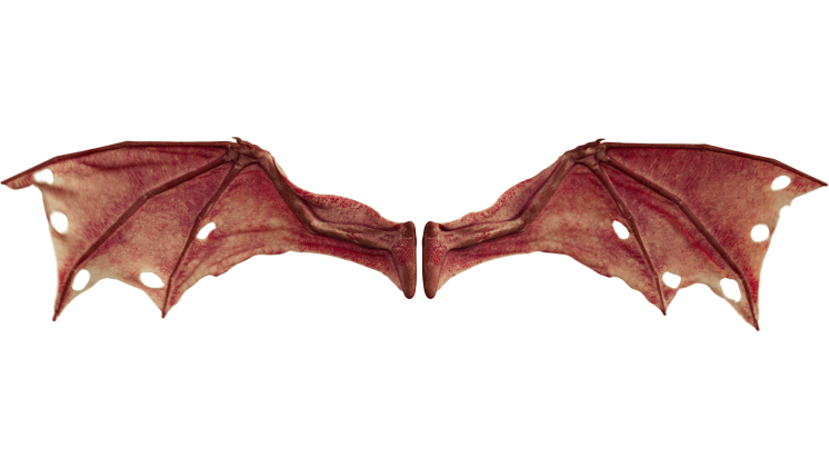 HD VFX of  Demon Wings Red Front Soaring