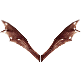 (4K) Demon Wings Red Top Flapping Effect