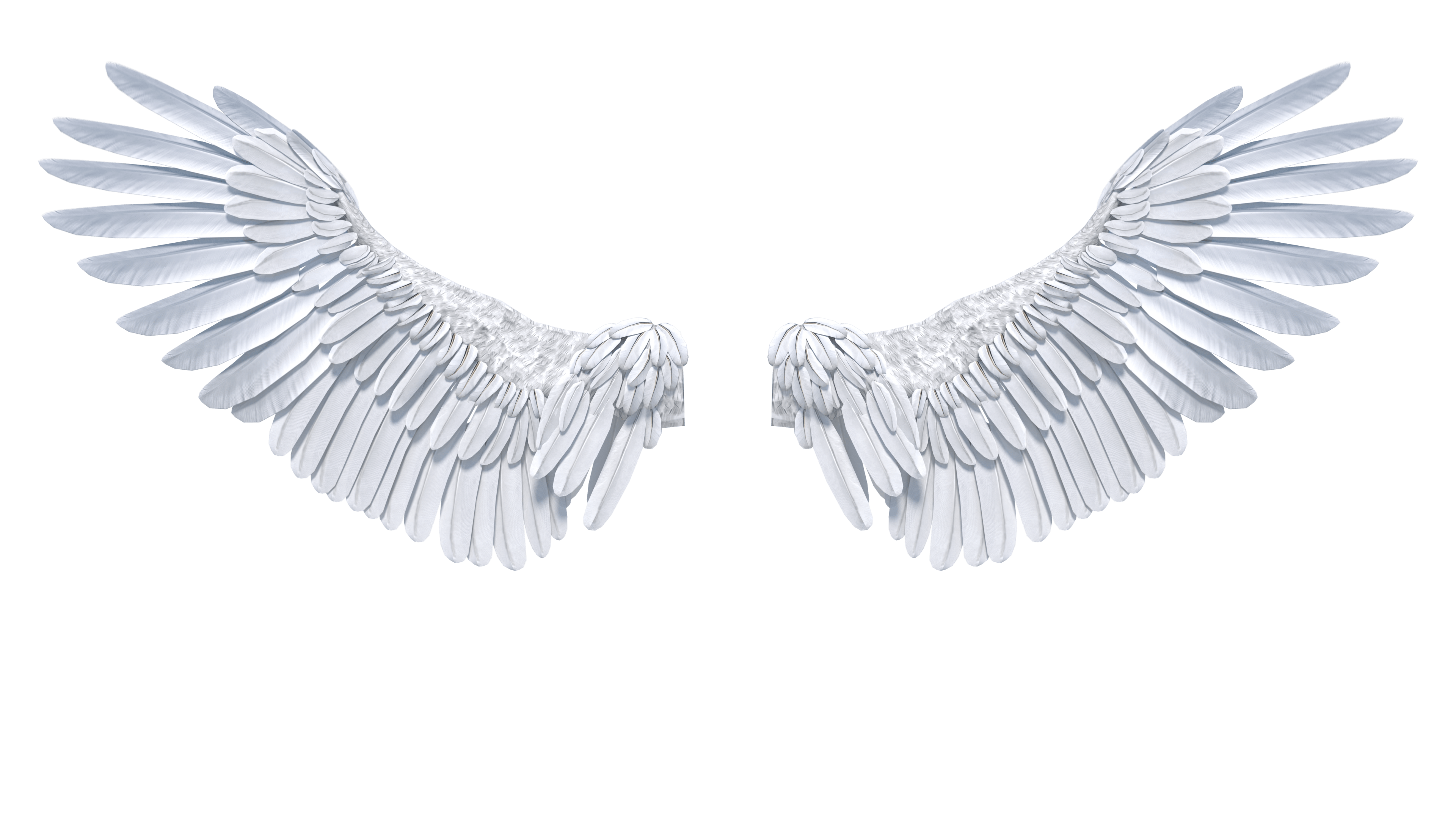 (4K) Angel Wings Opening Front 1