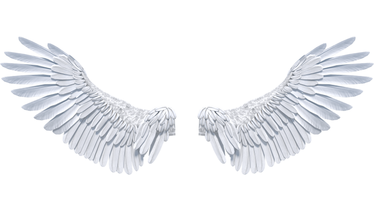 (4K) Angel Wings Opening Front 1 Effect
