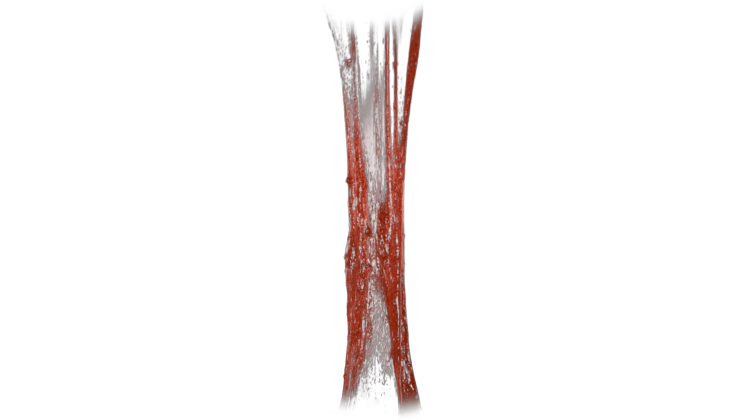 HD VFX of  Bloody Vertical Slime Pull 