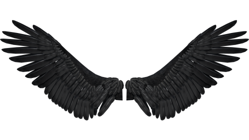(4K) Dark Angel Wings Opening Front 1 Effect