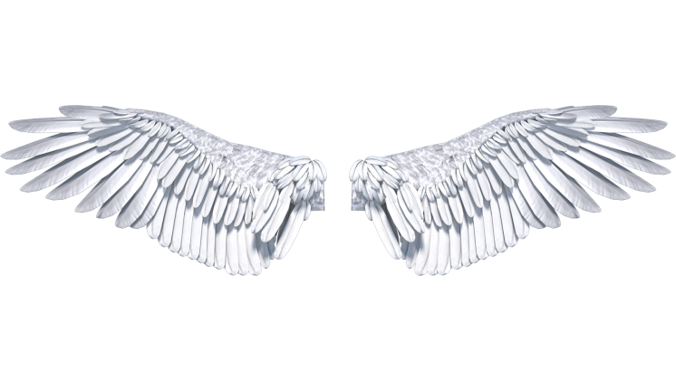 Free Video Effect of Angel Wings Opening Front 