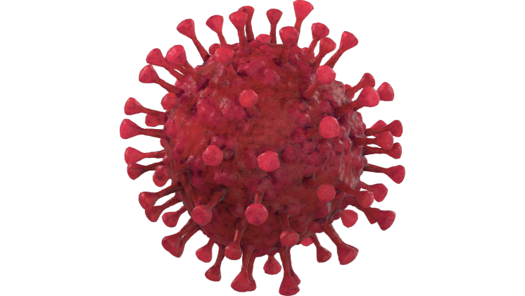 HD VFX of Looping Floating Coronavirus  Red