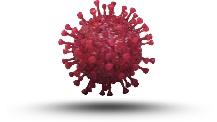 HD VFX of Looping Floating Coronavirus  Red