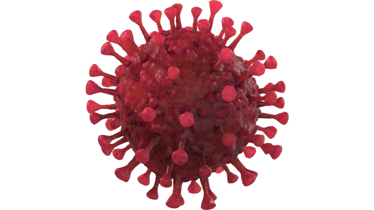 HD VFX of Looping Floating Coronavirus Red