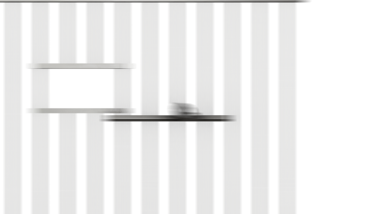 Free Video Effect of Jail Door Slam 