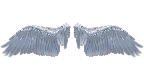(4K) Looping Angel Wings Flapping 1 Effect