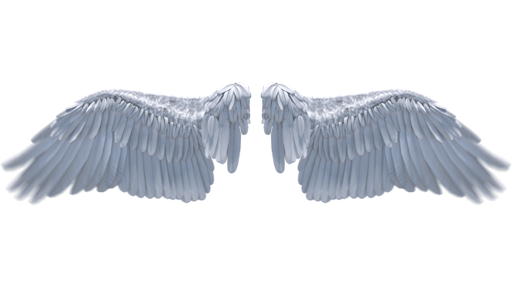 HD VFX of  Looping Angel Wings Flapping 