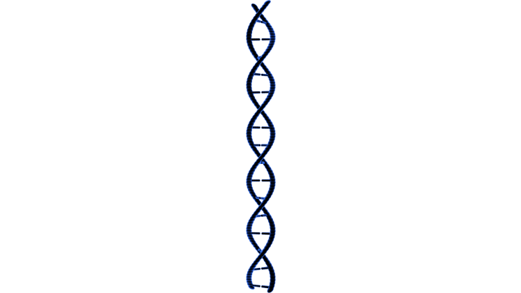 Free Video Effect of Looping DNA Molecule 