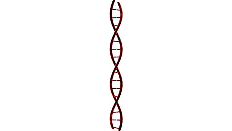 Free Video Effect of Looping DNA Molecule 