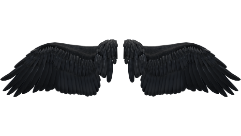 (4K) Looping Dark Angel Wings Flapping 1 Effect