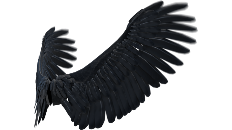 HD VFX of  Looping Dark Angel Wings Flapping Quarter View 