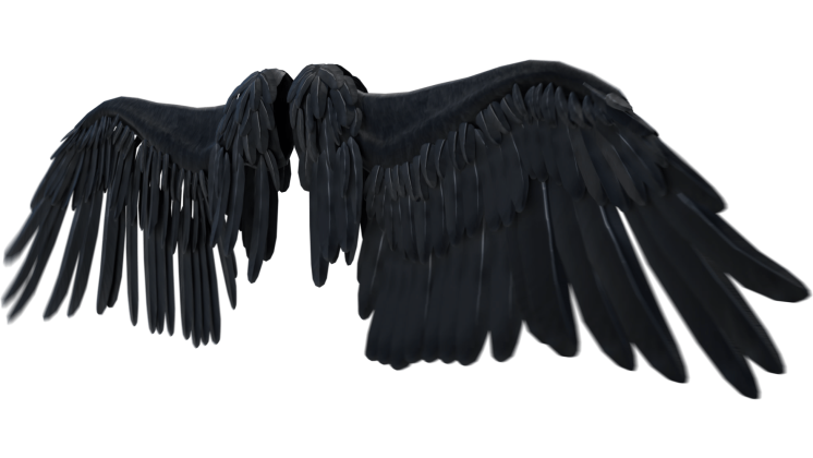 HD VFX of  Looping Fallen Angel Wings Flapping Quarter View 