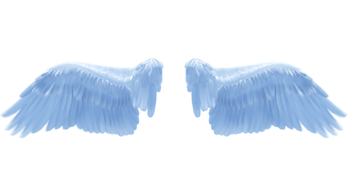 (4K) Looping Light Angel Wings Flapping 2 Effect