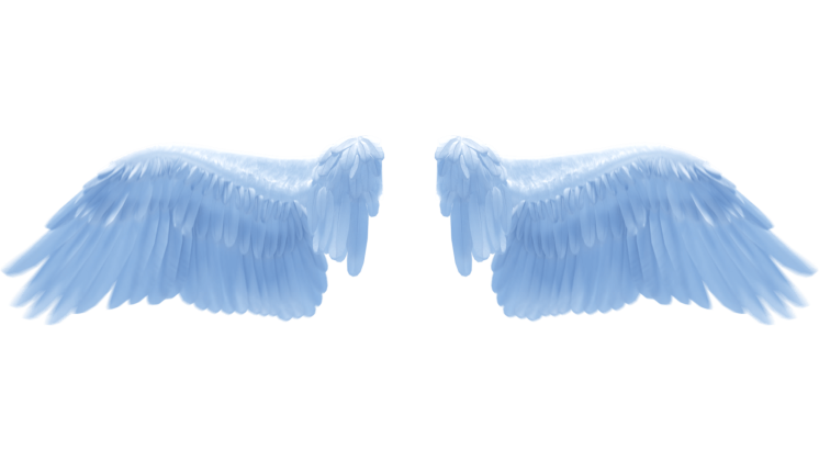 (4K) Looping Light Angel Wings Flapping 2 Effect