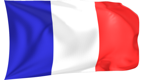 Looping Waving Flag France Effect