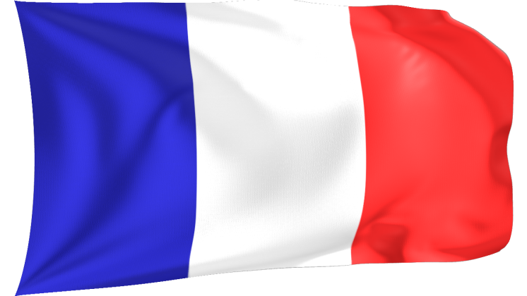 HD VFX of Looping Waving Flag France