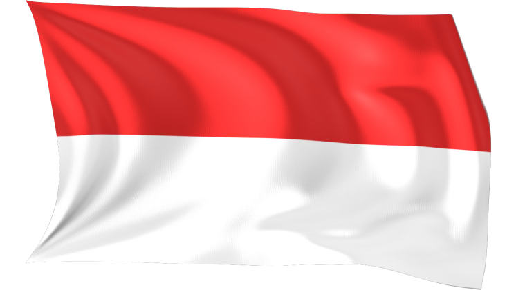 HD VFX of Looping Waving Flag Indonesia