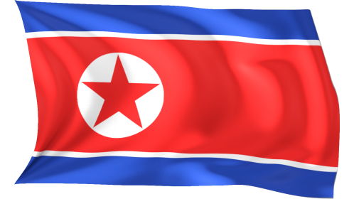 Looping Waving Flag North Korea Effect
