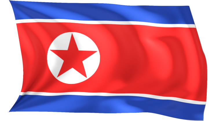 HD VFX of Looping Waving Flag North Korea